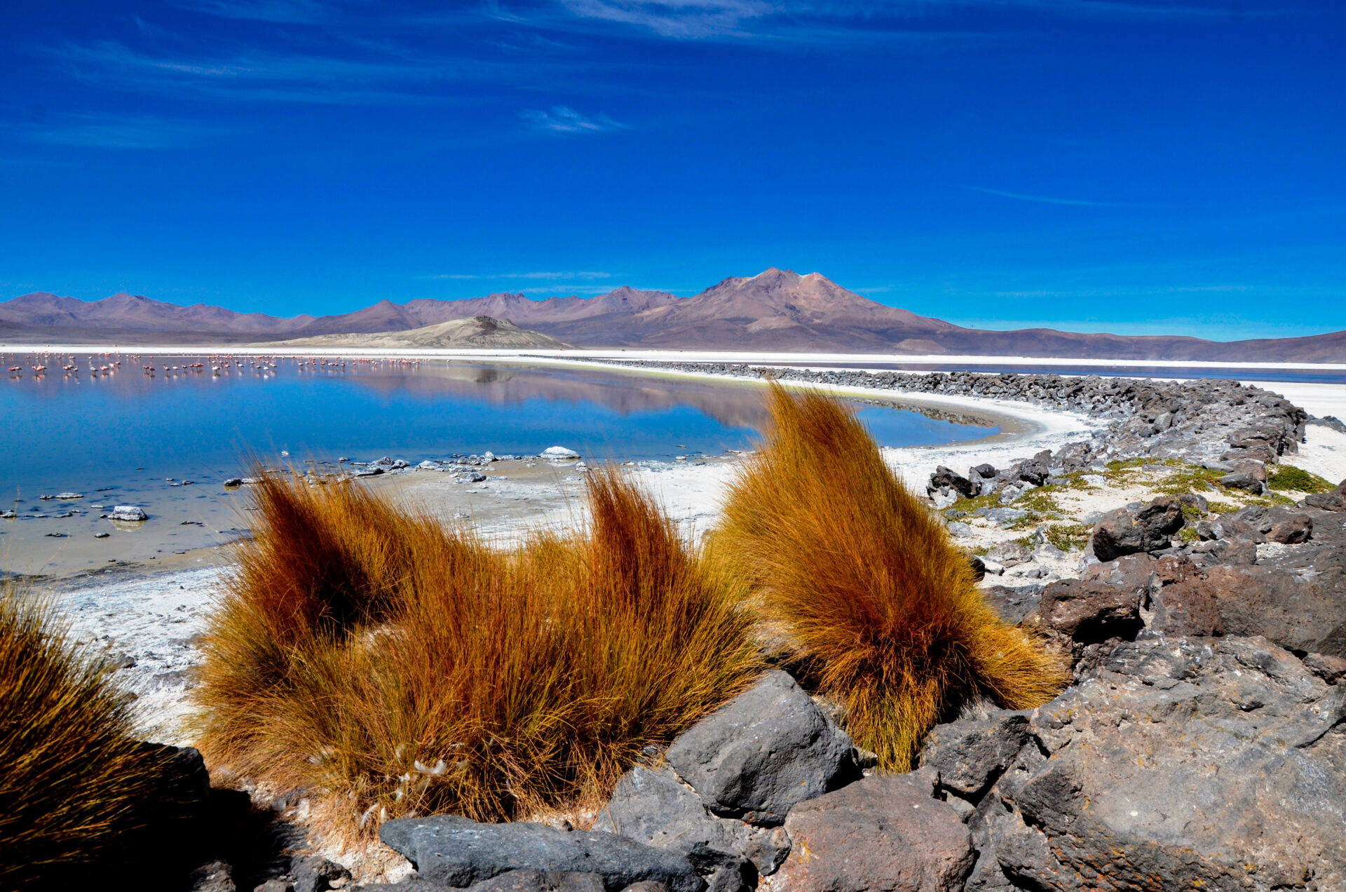 Monumento Natural Salar De Surire Conaf